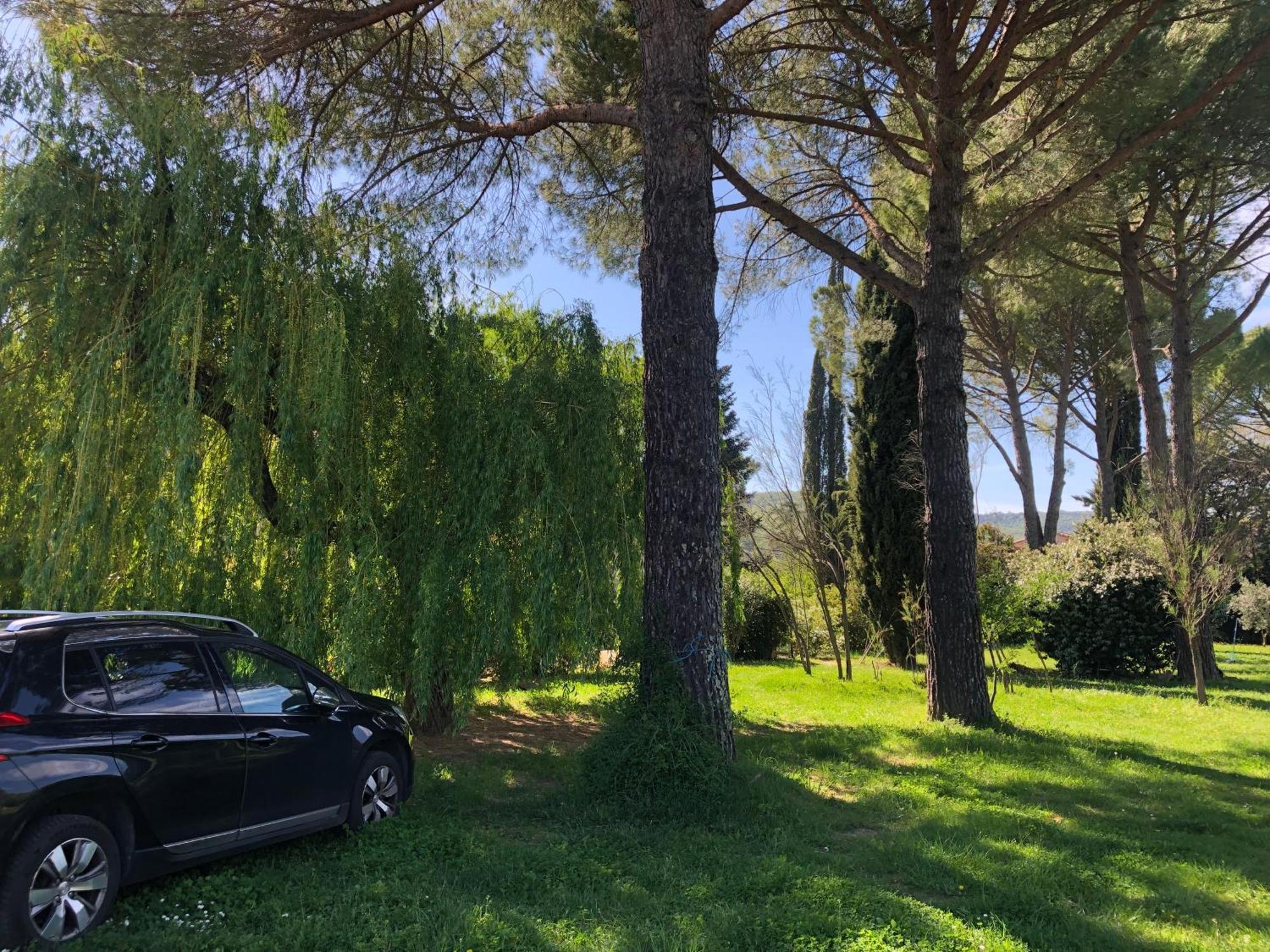 Gite Des Pins Saint-Maurice-dʼIbie Exterior foto